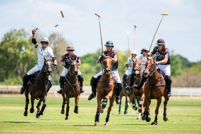 Champagne And Caviar At Sarasota Polo